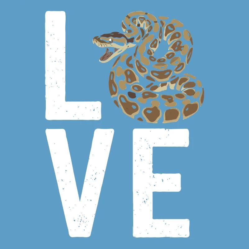 Königspython Schlangen LOVE Terrarium Python