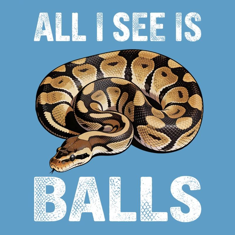 Python roi Serpents Amateurs de terrarium Python