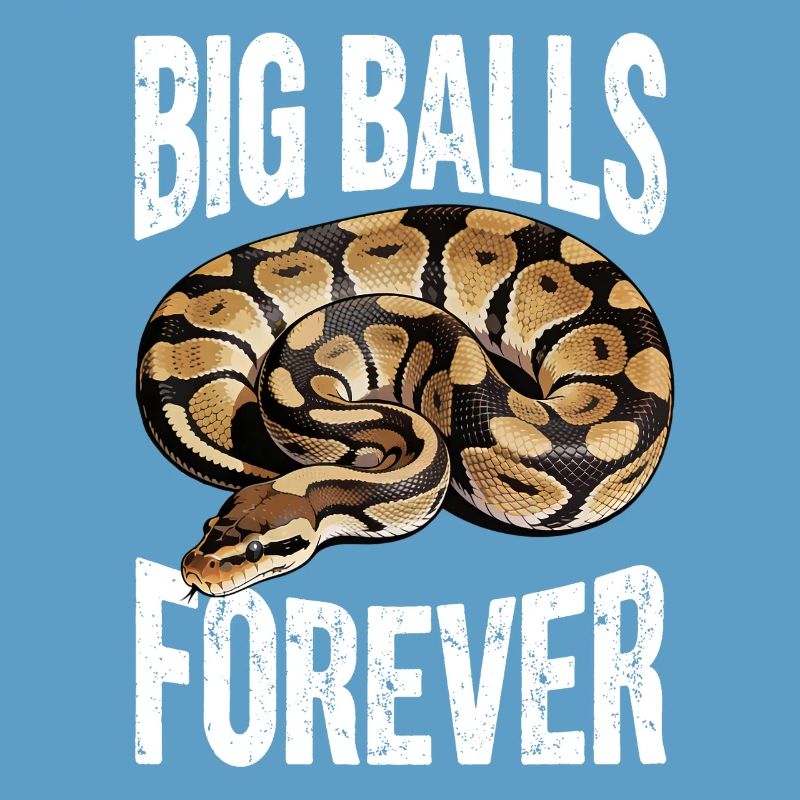 Königspython Schlangen Liebhaber Terrarium Python