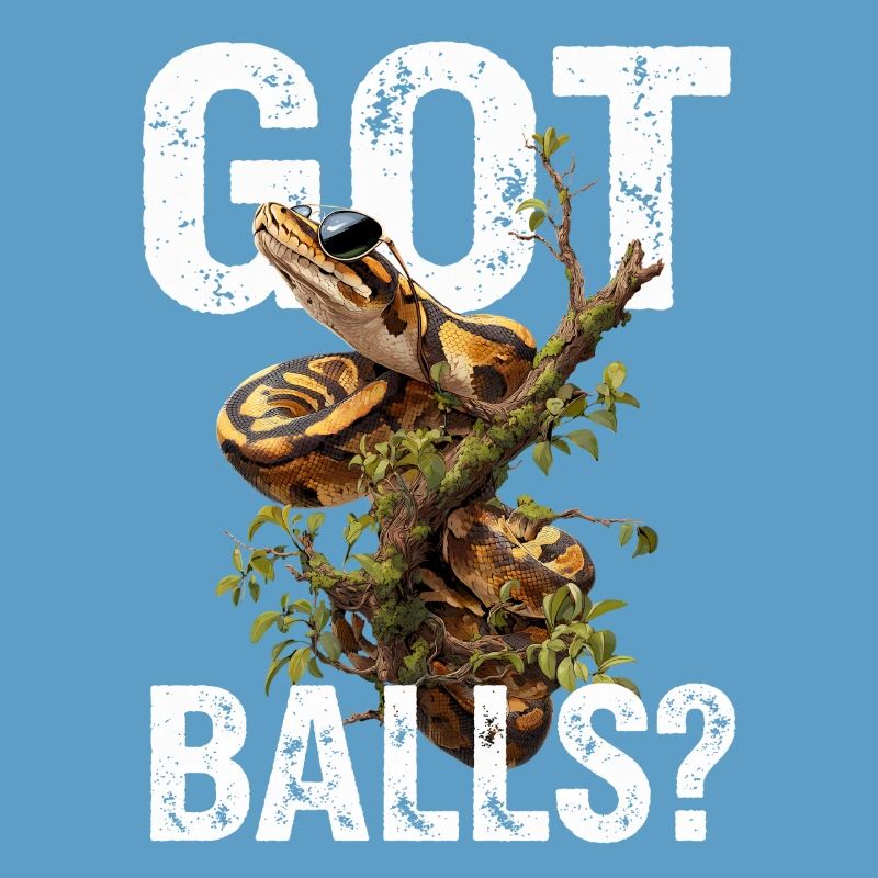 Python roi Serpents Amateurs de terrarium Python