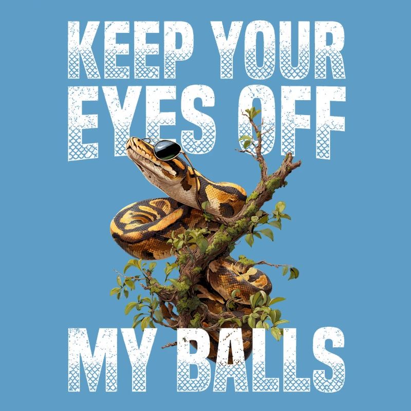 Königspython Schlangen Liebhaber Terrarium Python