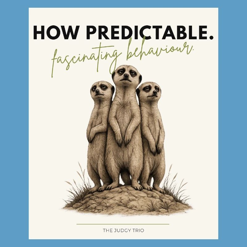 How Predictable Funny Meerkat