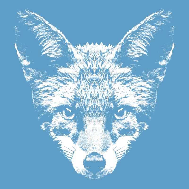 Fuchs / Fox / Kopf / Rotfuchs