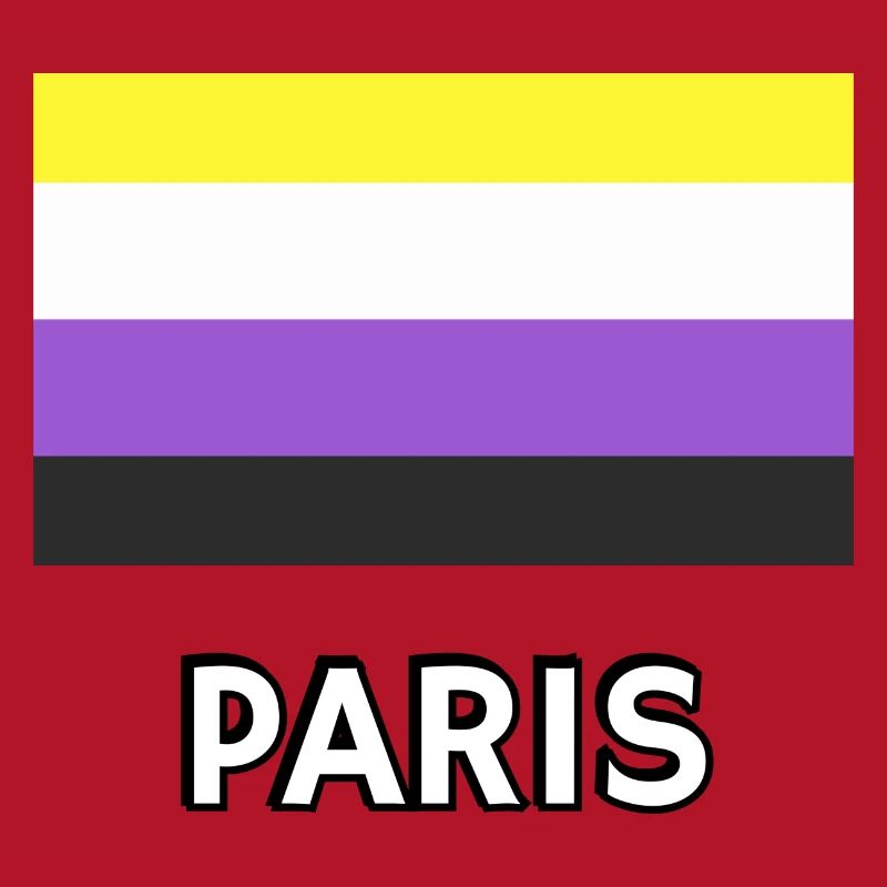 Non binary Pride Flag Paris