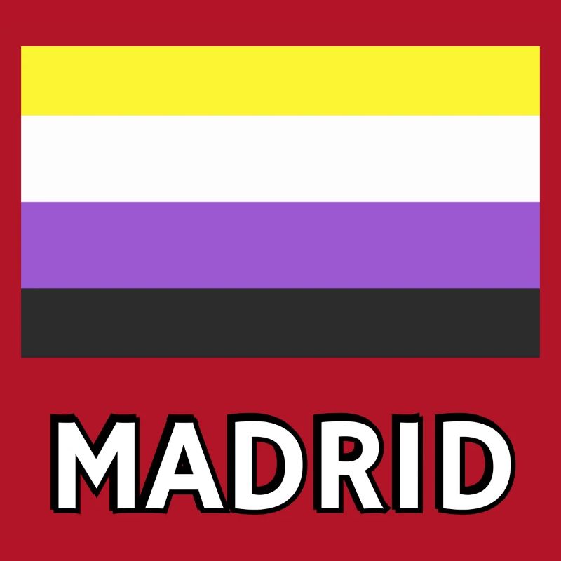 Non binary Pride Flag Madrid