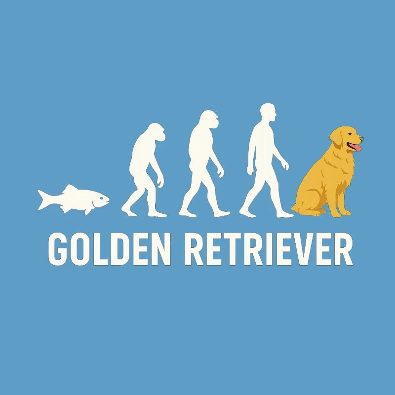 Evolution du Golden Retriever