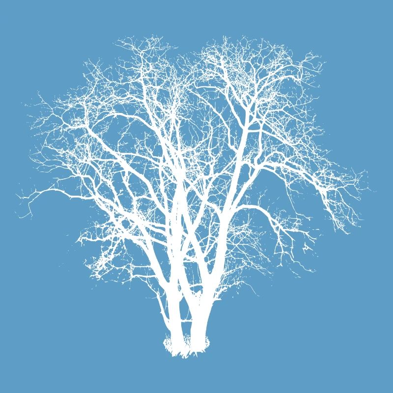 Tree Silhuette