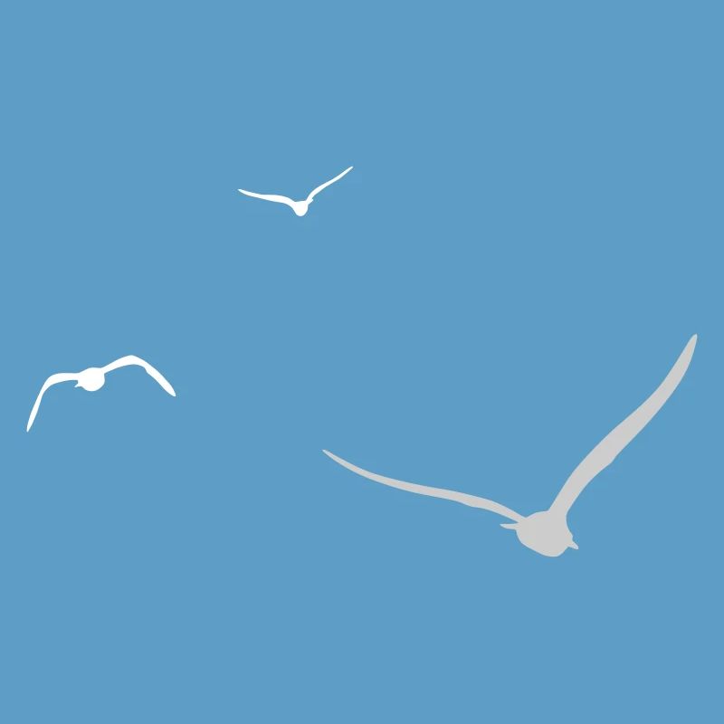 Three Seagulls | Seagull | Colors adjustable