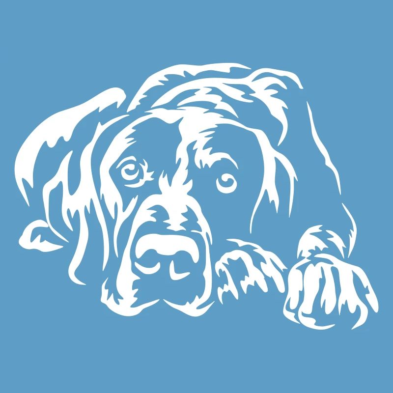 German Shorthaired Pointer "Black Edition"