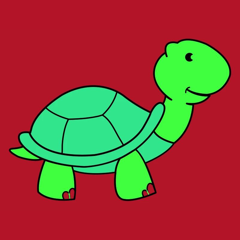 tortue