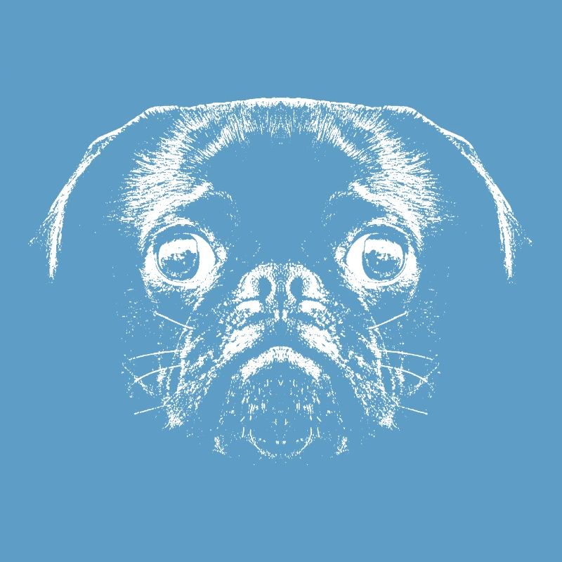 Pug / Face / Head