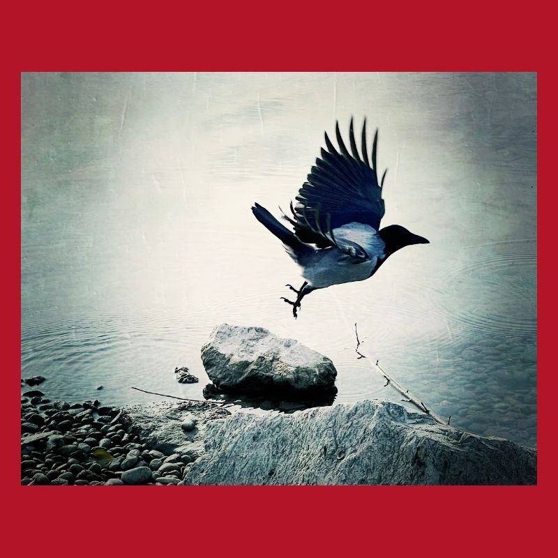 Crow's Flight