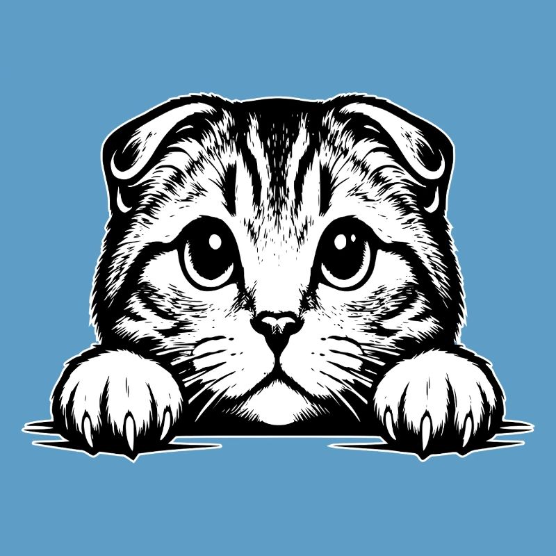 Scottish Fold-eared Cat with Paws