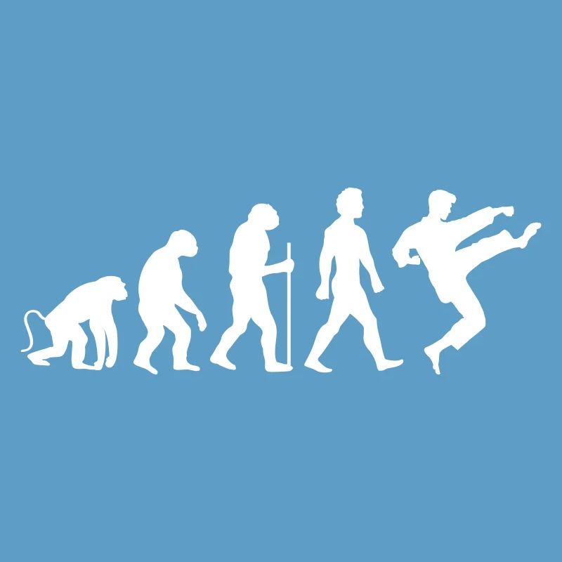 Karate Evolution