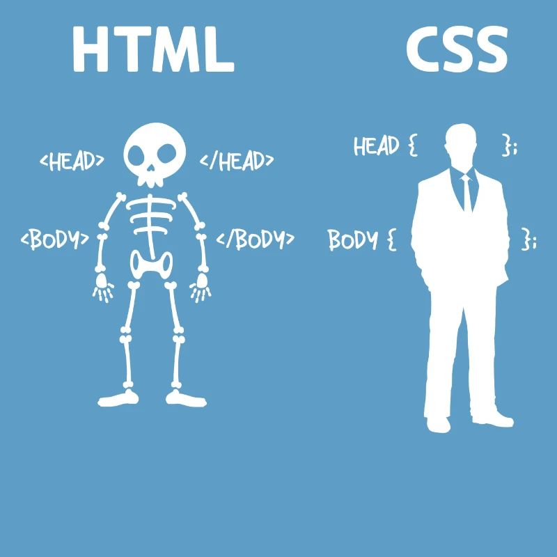 Code Css C++ Php Java Developer Code Scripting