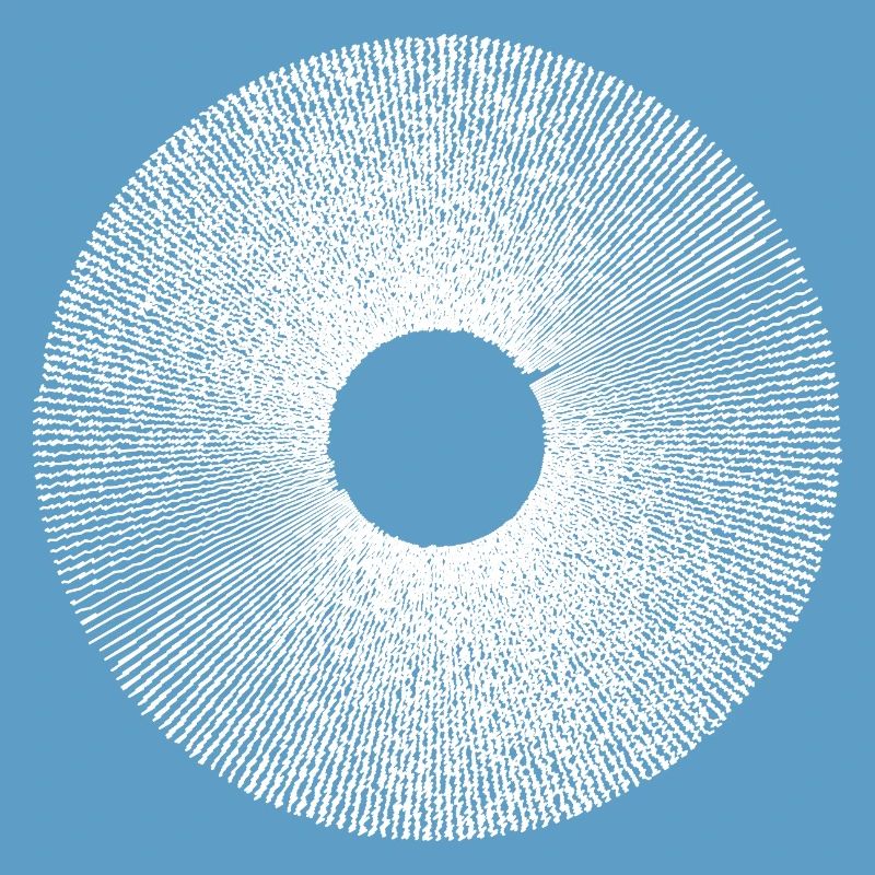 Iris Ringburst Radial Pattern