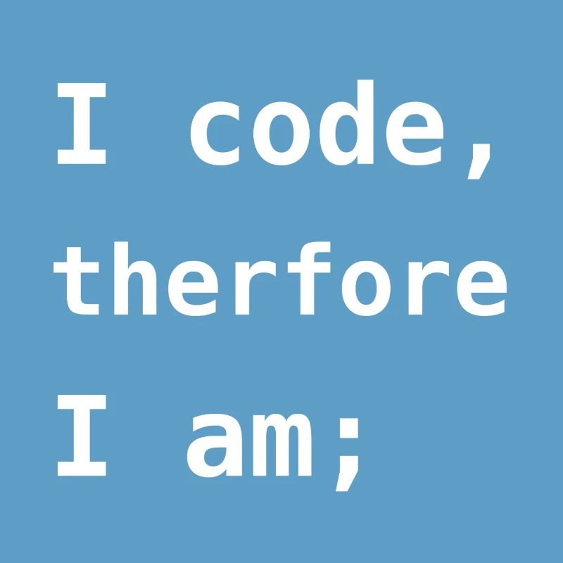 I Code Therefore I Am