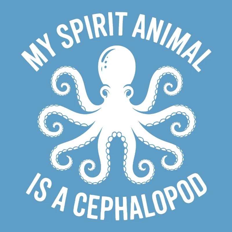 Octopus Gift Idea