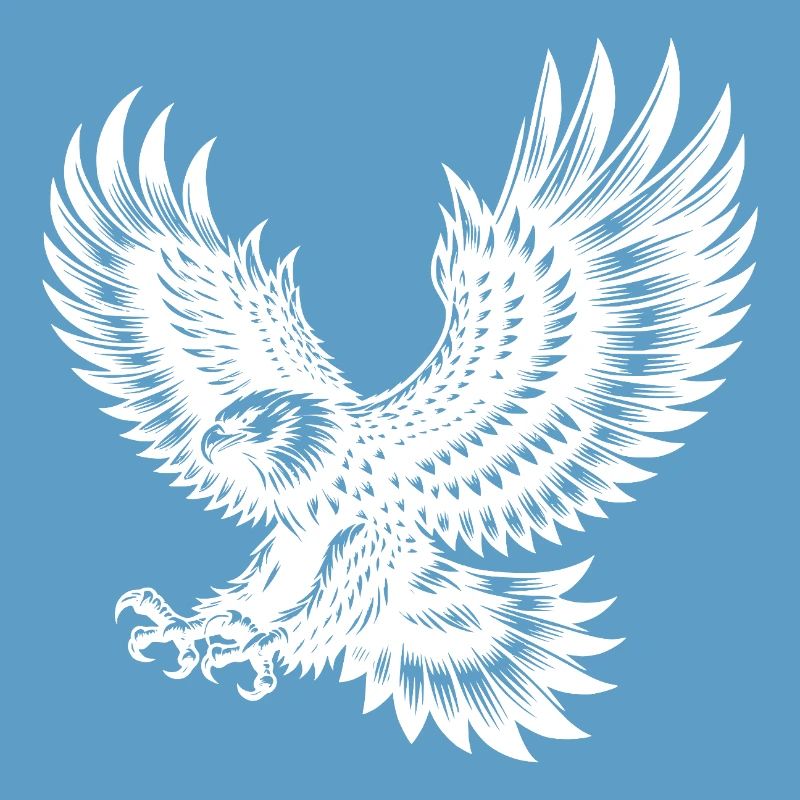 Powerful hunting eagle with sharp claws
