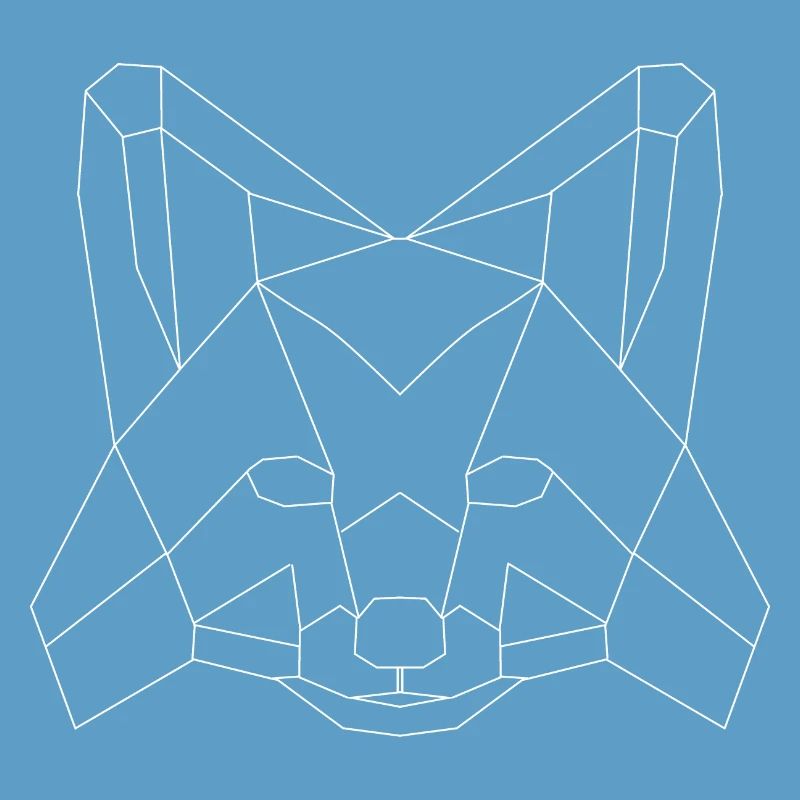 Fuchs polygons white