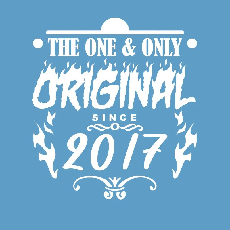 2017 - Année de construction 2017 - Année de construction 2017