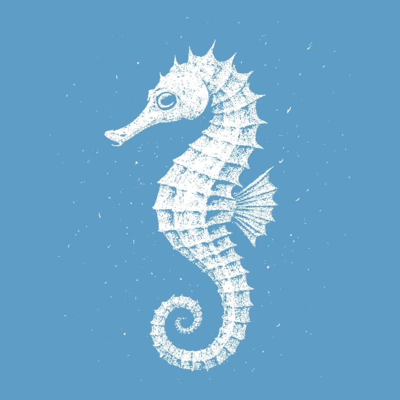 Hippocampe