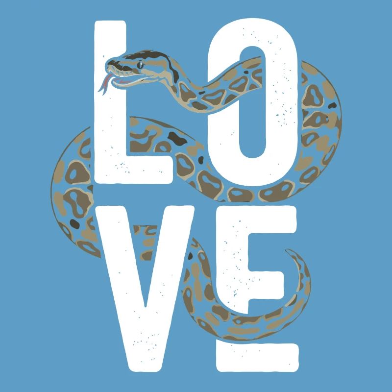 Königspython Schlangen LOVE Terrarium Python