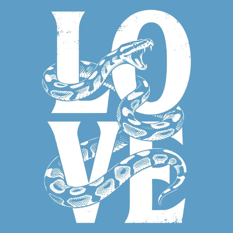 Les serpents rois Python ADORENT les pythons de terrarium