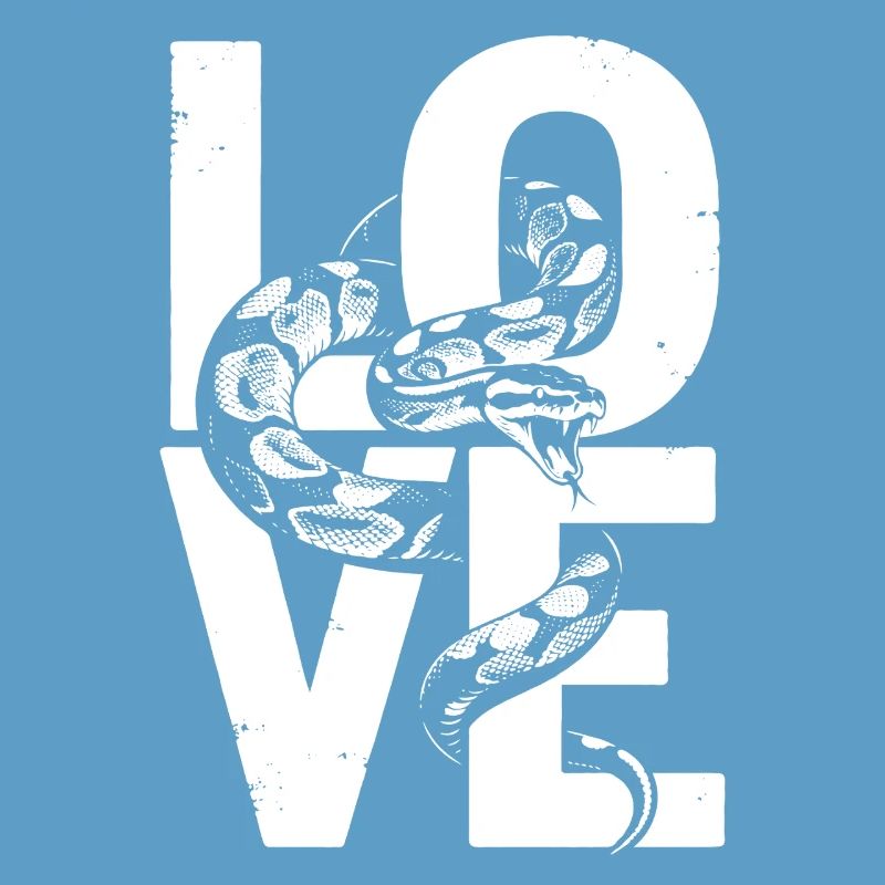 Königspython Schlangen LOVE Terrarium Python