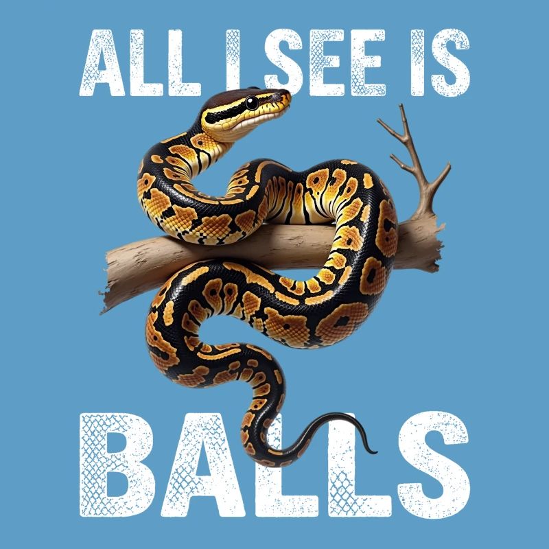 Python roi Serpents Amateurs de terrarium Python