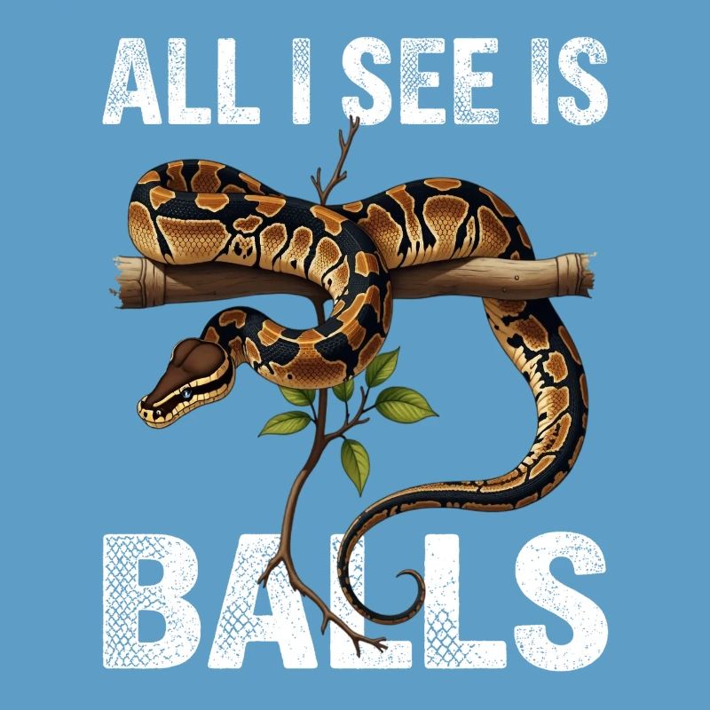 Python roi Serpents Amateurs de terrarium Python