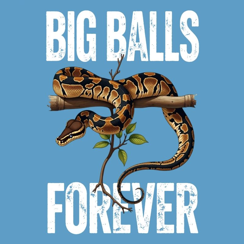 Python roi Serpents Amateurs de terrarium Python