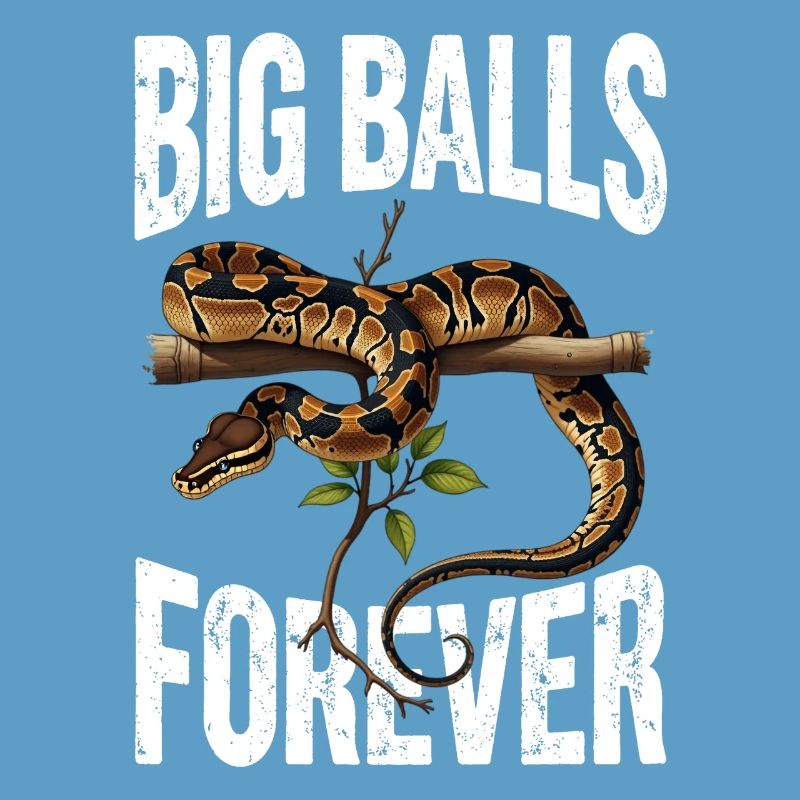 Königspython Schlangen Liebhaber Terrarium Python