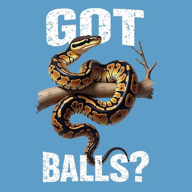 Python roi Serpents Amateurs de terrarium Python