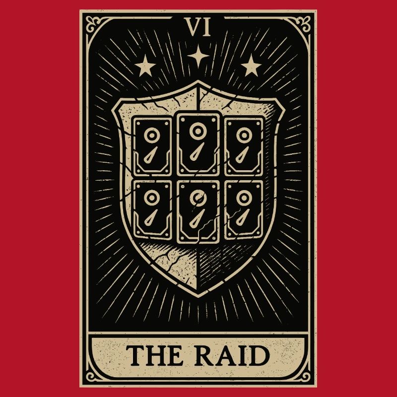 Tarot Datahoarding: The RAID Shield