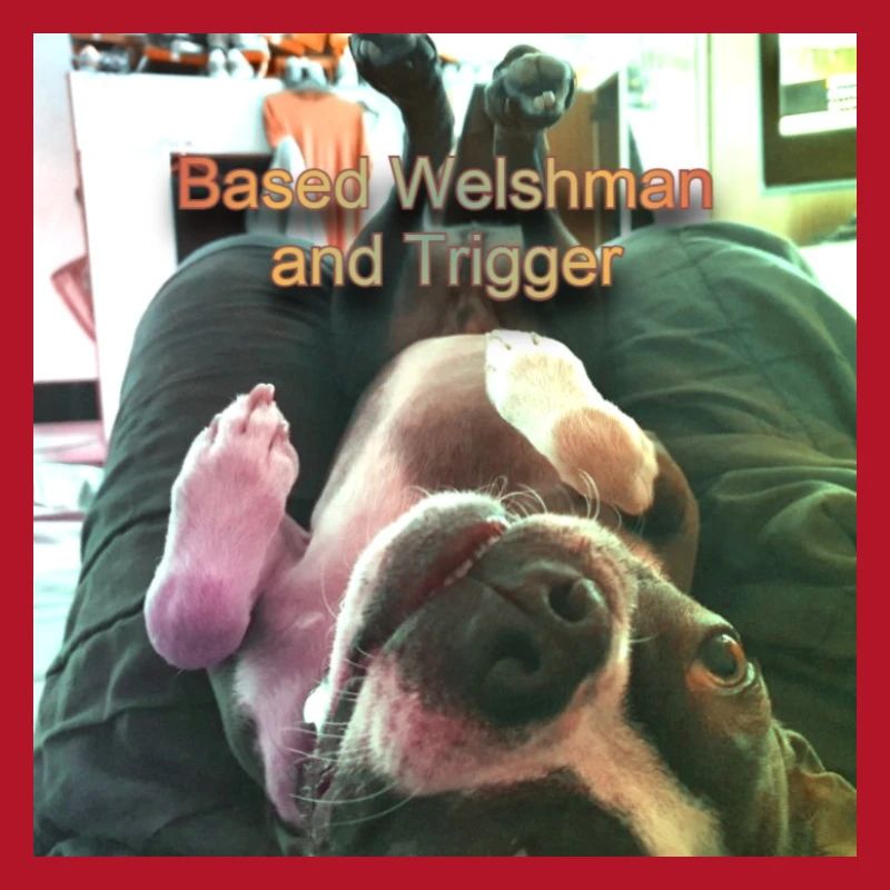 Trigger upside down text