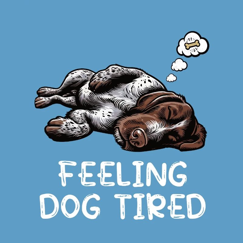Feeling Dog Tired Deutsch Drahthaar drahthaar hund