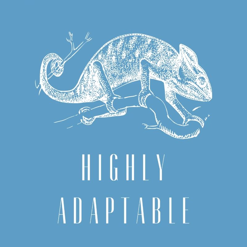Highly Adaptable Chameleon Growth Mindset