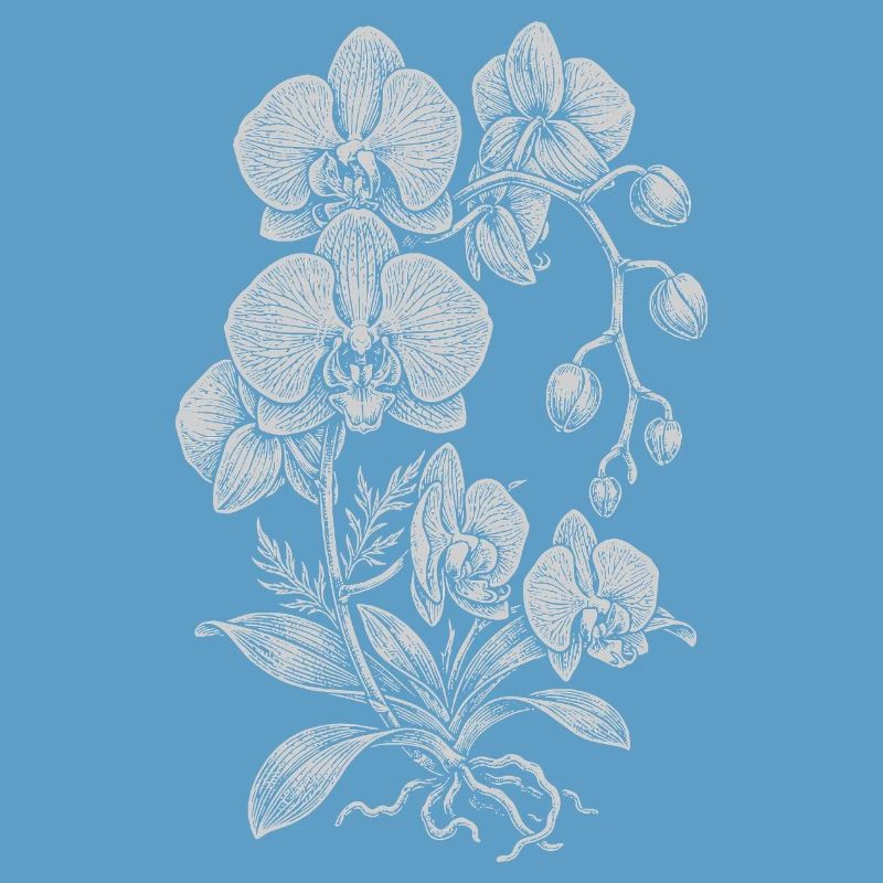 Orchidée Linework Silk Floral