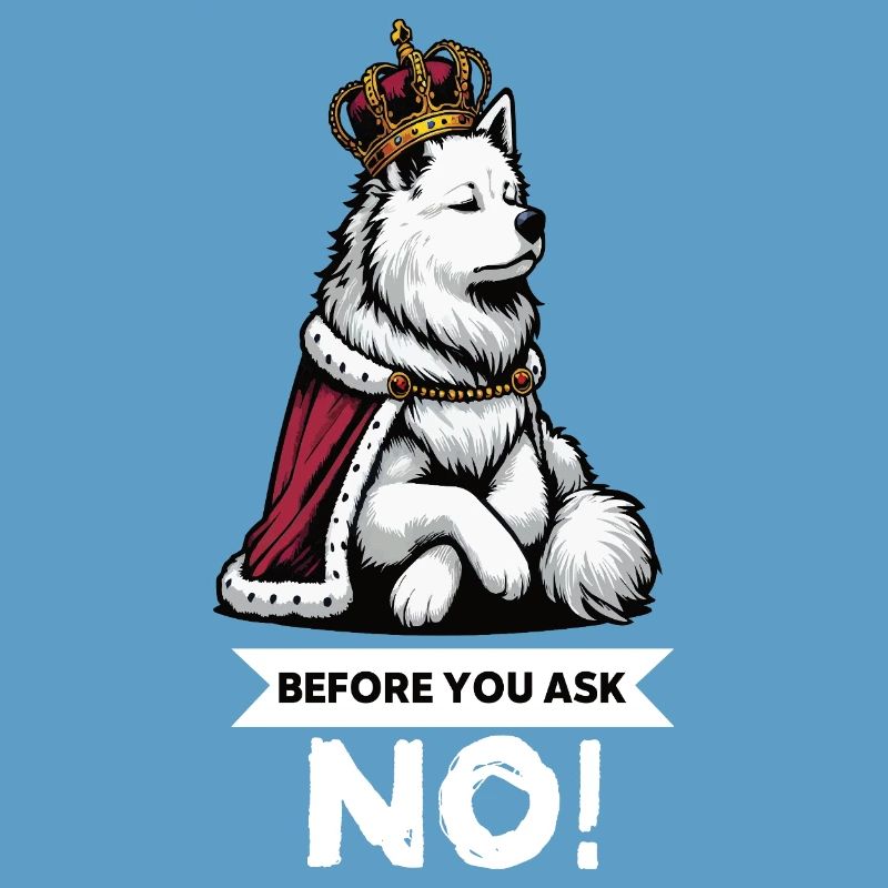 Before You Ask White Shepherd Shepherd