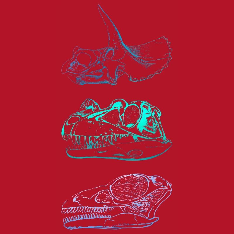 Dinosaurier-Schädel
