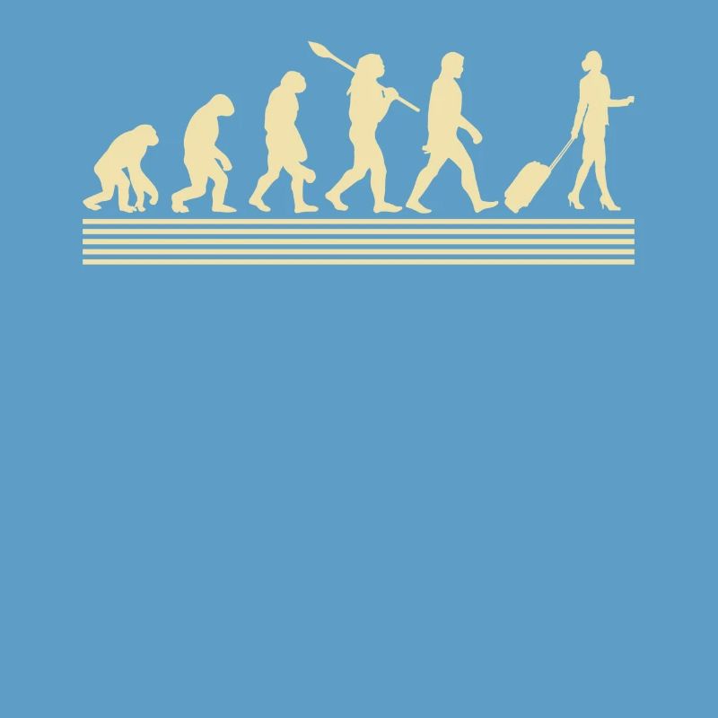 Stewardesses evolution