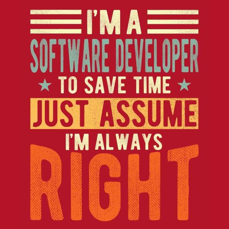Software developer