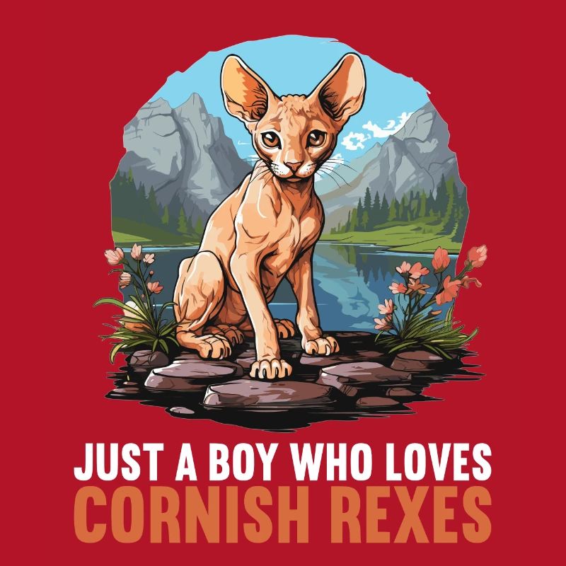 Chaton Cornish Rex Chat Cornish Rex