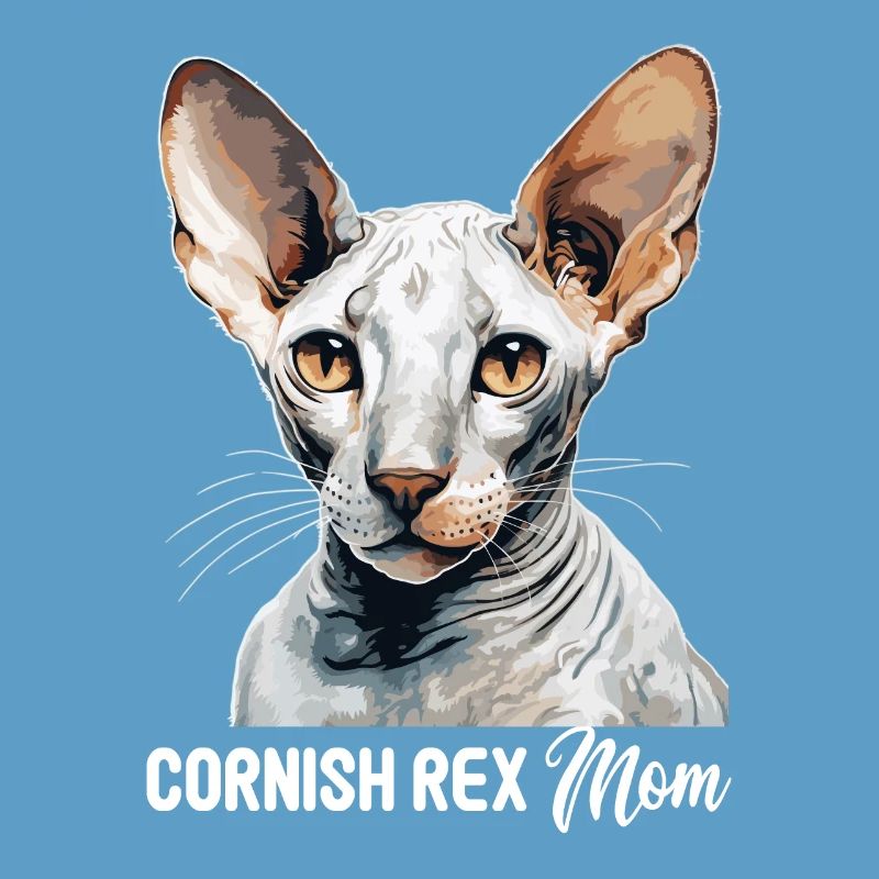 Cornish Rex Kätzchen Cornish Rex Katze