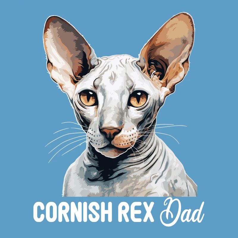 Chaton Cornish Rex Chat Cornish Rex