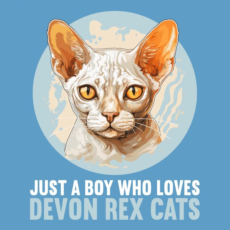 Devon Rex Kitten Devon Rex Cat