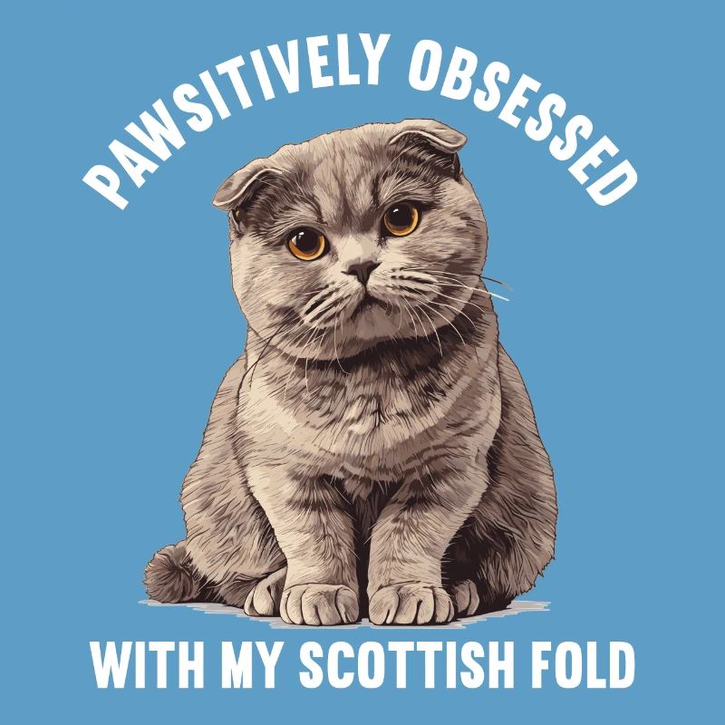 Scottish Fold Kitten Scottish Fold Cat