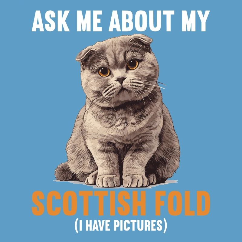 Scottish Fold Kitten Scottish Fold Cat