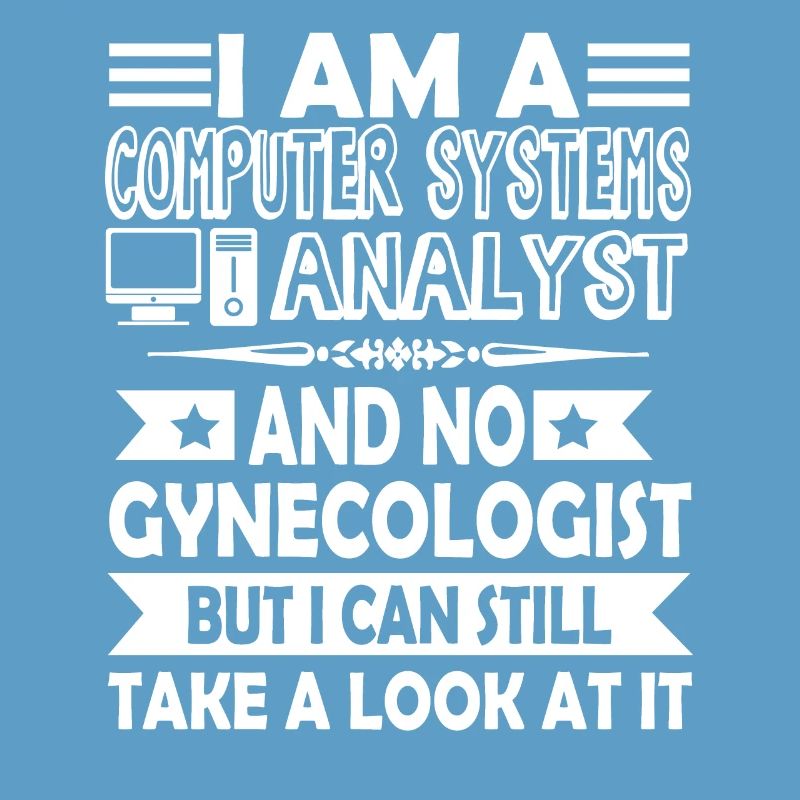 I Am A Computer Systems Analyst